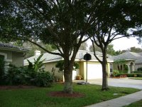 Concrete Cleaning and Pressure Washing Clearwater, Largo Florida 073 (Medium).jpg