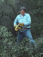 reagan_chainsaw1.jpg