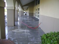Roof Cleaning , Pressure Washing, Pinellas County, Tampa Florida 201.jpg