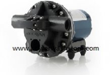 delavan 5800 series pump.jpg