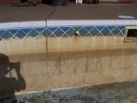 100_6218.JPG 100_6218.JPG