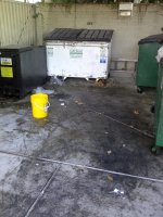 Dumpster before.jpg