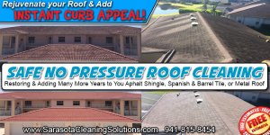 Roof Cleaning Ad 1.jpg
