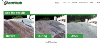 Annapolis Roof Cleaning - Letting the Pros do the Dirty Work!
