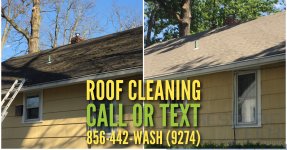 Roof Cleaning Guide
