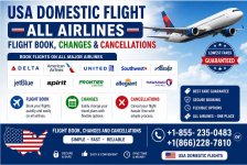 ALL AIRLINES.jpg