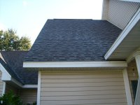 Tampa Non Pressure Roof Cleaning 019.jpg
