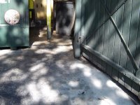 12 2 05 021 (Medium).jpg