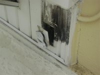 22008 017 (Medium).jpg 22008 017 (Medium).jpg