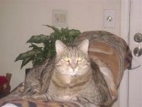 1182008 004 (Medium).jpg