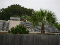 Tile Roof Cleaning Largo Florida 061 (Medium).jpg