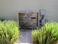 11-6-2008 018 (Medium).jpg 11-6-2008 018 (Medium).jpg