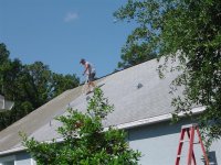 Shingle Roof Cleaning Palm Harbor Florida (Medium).jpg