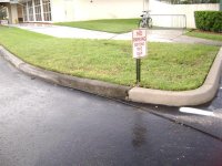 Roof Cleaning and Pressure Washing Palm Harbor Florida 126 (Medium).jpg Roof Cleaning and Pressure Washing Palm Harbor Florida 126 (Medium).jpg