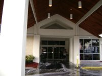 Roof Cleaning and Pressure Washing Palm Harbor Florida 155 (Medium).jpg Roof Cleaning and Pressure Washing Palm Harbor Florida 155 (Medium).jpg