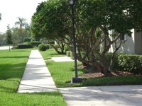 Concrete Cleaning and Pressure Washing Clearwater Florida 006 (Medium).jpg