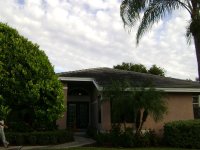 Concrete Cleaning and Pressure Washing Safety Harbor Florida 004 (Medium).jpg