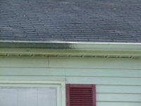 gutter zap on tan gutter.jpg