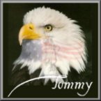 eagflag1  - tommy.jpg