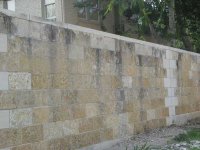 brick-wall-113-1350_IMG.jpg