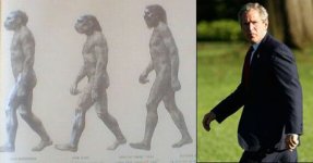 evolution.jpeg