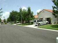 61408 065 (Small) (Medium).jpg