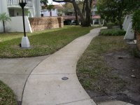 Roof Cleaning , Pressure Washing, Clearwater, Pinellas, Florida 037.jpg