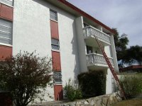 Roof Cleaning , Pressure Washing, Clearwater, Pinellas, Florida 025 (Medium).jpg