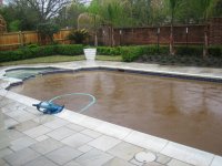 1626 Westshore Poisl Pool 1.JPG