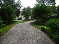 91008 003 (Medium).jpg