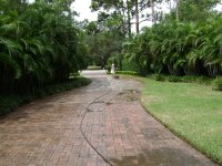 91008 009 (Medium).jpg