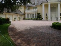 91008 010 (Medium).jpg