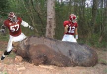 Hog Beatdown.jpg