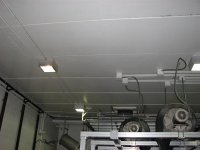 IMG_3420 (Medium).JPG