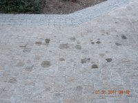 DSCN1784 (800x600).jpg