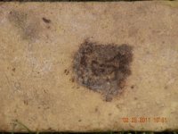 DSCN1965 (800x600).jpg