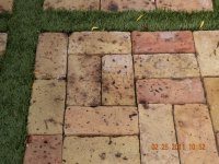 DSCN1966 (800x600).jpg