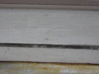 siding1.JPG