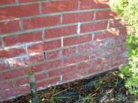 2013-03-08 06.11.46.jpg