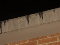 5 guys warrenton 8-20-06 001.jpg