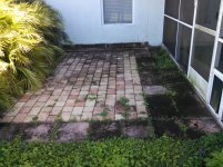 Paver patio pressure washed Before.jpg