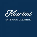 Martini Exterior Cleaning.jpg