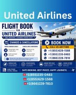 United Airlines IG =01.jpg