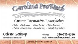 CarolinaPWbizcardCELESTE8 (Small).jpg