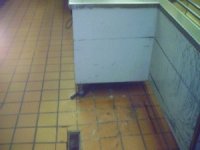 Rust Spots Front Floor.jpg