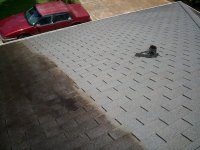 Roof Before After Web.jpg