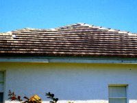 Tampa Non Pressure Roof Cleaning 022.jpg