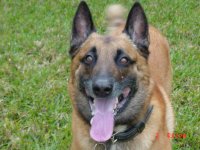 content's of home 454.jpg