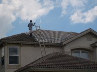 Tampa Roof Cleaning 036.jpg