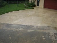 misc 1 008 (Medium).jpg